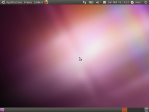 The standard Ubuntu desktop
